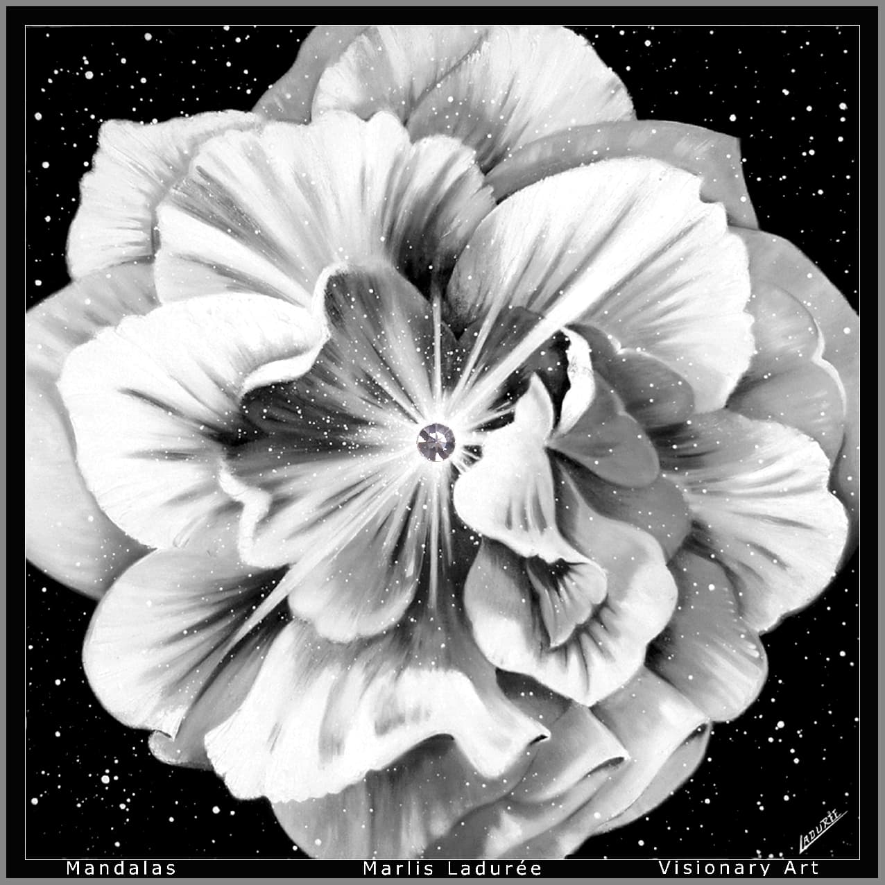 Cosmic Flower