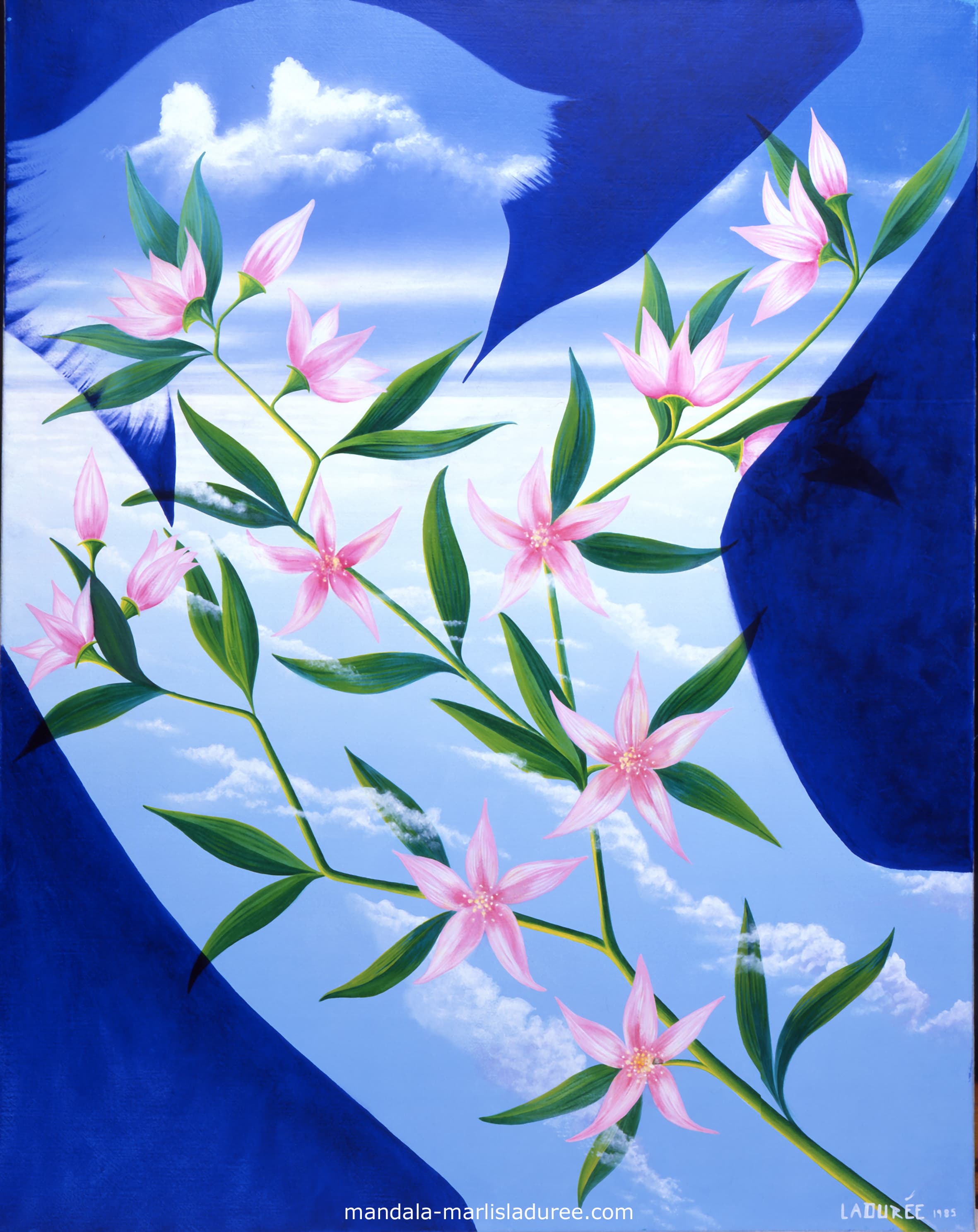 Floraison