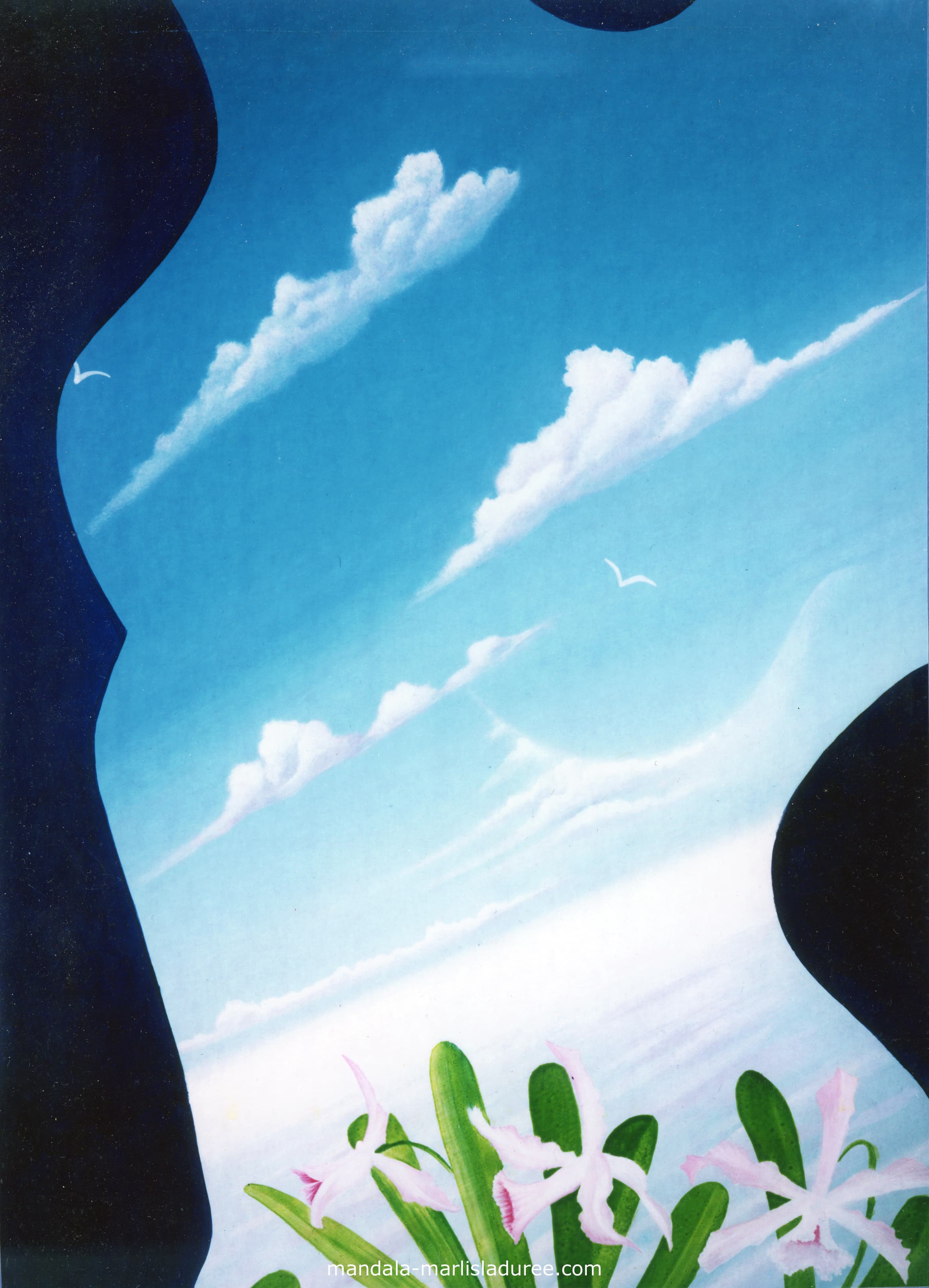 Orchidées